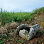 日本軍部隊「鹿山隊」によって子どもたちを含む久米島の2家族と区長ら9人がスパイ容疑で殺された跡(北原地区)。鹿山隊は家ごと焼きはらい、今は井戸だけが残る。写真はすべて沖縄県久米島。2015年8月22日
