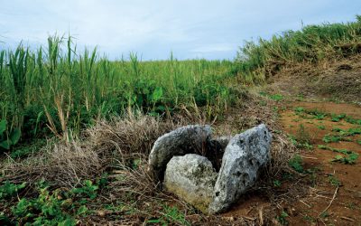 日本軍部隊「鹿山隊」によって子どもたちを含む久米島の2家族と区長ら9人がスパイ容疑で殺された跡(北原地区)。鹿山隊は家ごと焼きはらい、今は井戸だけが残る。写真はすべて沖縄県久米島。2015年8月22日
